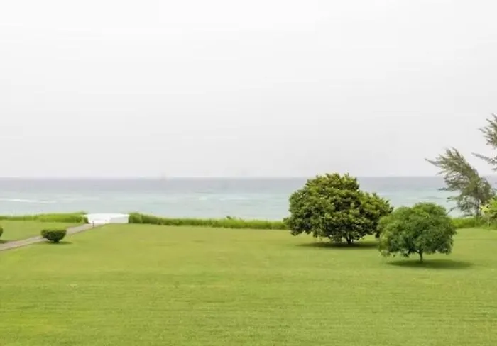 C'daview Royal Montego Bay